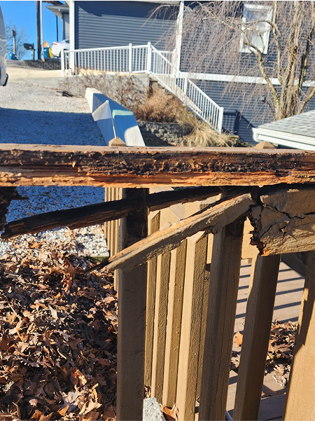 d5e261a9-c13c-48eb-ba7c-efd544d21996